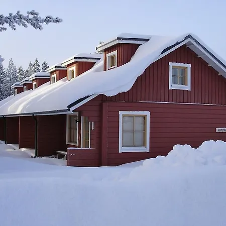 Polar Star Polar Poro לוי